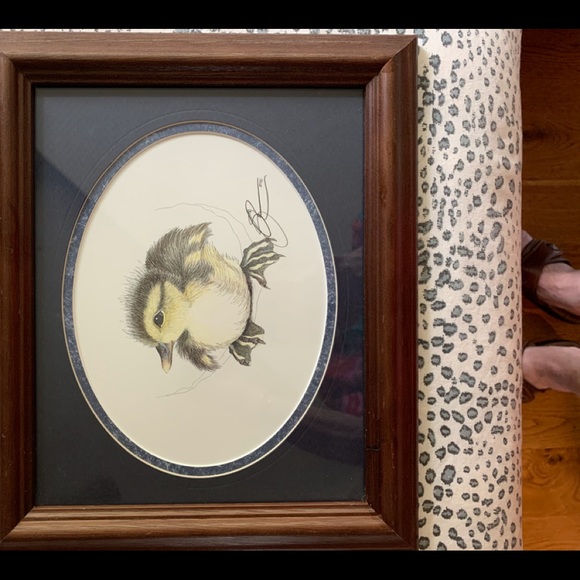 Limited edition art print of baby duck - Picture 2 of 3